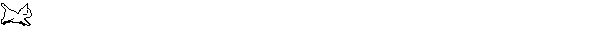 Animated cat